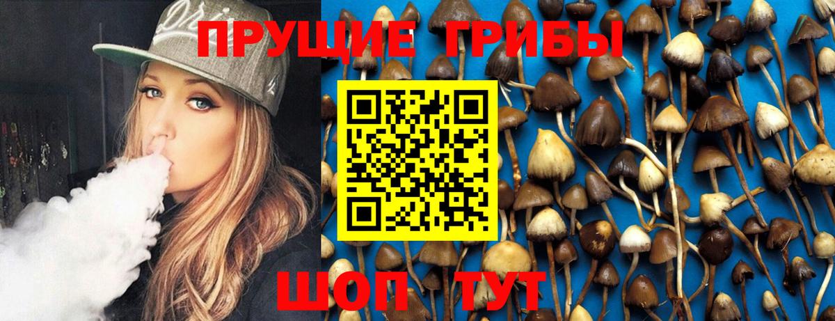 Галлюциногенные грибы MAGIC MUSHROOMS  Вход с VPN  Краснознаменск  закладки  Галлюциногенные грибы Psilocybe 